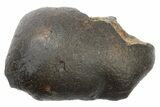 Chondrite Meteorite ( g) - Unclassified NWA #265864-1